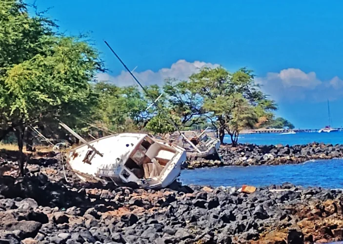 Photo of the Day: Double on the Rocks